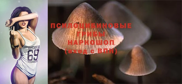 Альфа ПВП Алексин