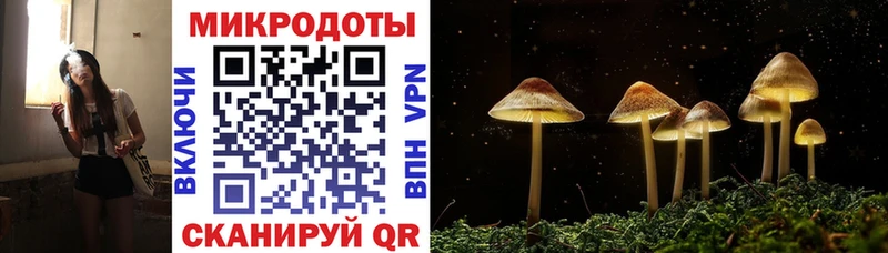 Галлюциногенные грибы мицелий  Цивильск 